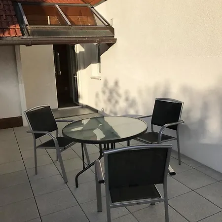 Haus Meneweger Apartment Flachau Exterior photo